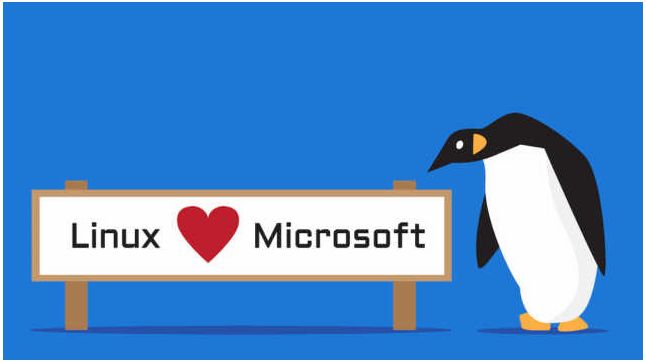 Windows Server 2019 WSL安装说明