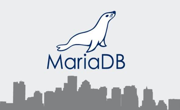 初次安装 MariaDB 后却无法连接数据库