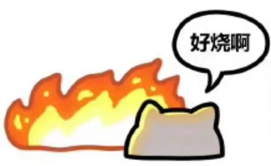 纪念一下服务器物理炸了